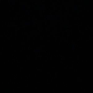 Meet your Posher, Steve